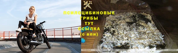 СК Сосновоборск