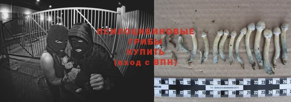 mdpv Сатка
