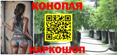 прущие грибы Аргун