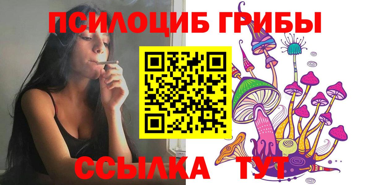 Псилоцибиновые грибы Psilocybe  Псилоцибиновые грибы прущие грибы  Уфа 