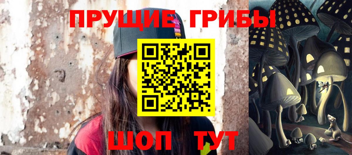 Галлюциногенные грибы Psilocybine cubensis Уфа