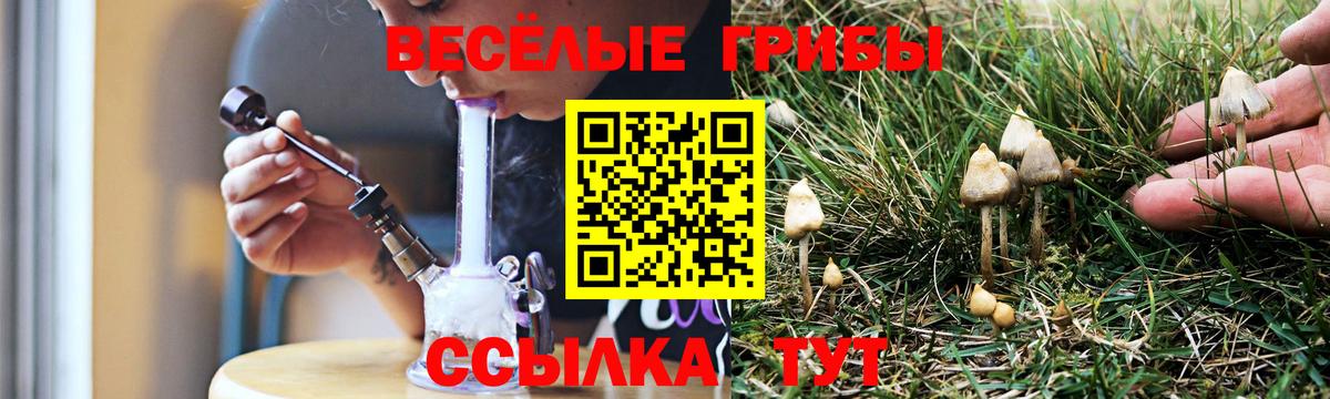 Уфа  закладка  Вход с VPN  Галлюциногенные грибы Cubensis  Псилоцибиновые грибы Cubensis 
